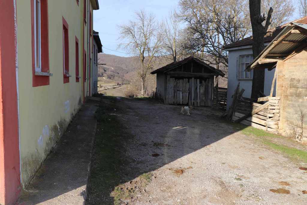 Güneyce